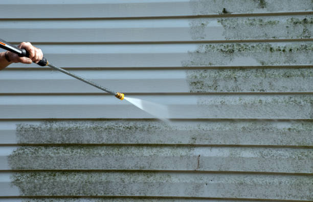 Best Deck Cleaning Services  in Le Center, MN