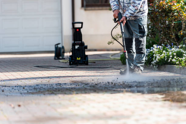 Best Local Pressure Washing Services  in Le Center, MN