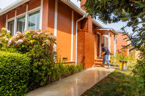 Best Roof Pressure Washing  in Le Center, MN